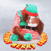 Funny Christmas Greetings Funny Animals GIF - Funny Christmas Greetings Funny Animals Funny Christmas Elf GIFs