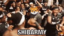 Shiba Inu Shibarmy Football GIF - Shiba Inu Shiba Shibarmy Football GIFs