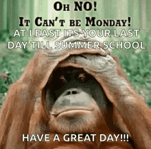 a monkey is covering its face with its hand and says " oh no "