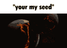 Cry About It Your My Seed GIF - Cry About It Your My Seed Seed GIFs