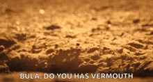 a close up of a sandy surface with the words bula do you has vermouth written on it