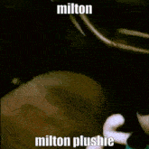 Milton Milton Plushie GIF - Milton Milton Plushie Mmg GIFs