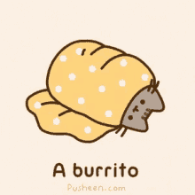 pusheen burrito