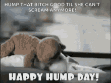 Porn Hump Day Meme - Mature Adult Hump Day | Niche Top Mature