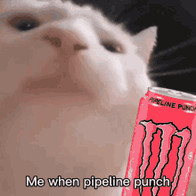 Pipelinepunch GIF - Pipelinepunch GIFs