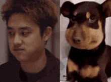 a close up of a man and a stuffed dog