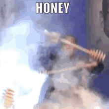 Honey Iron Chef GIF