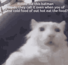 Catoven4 Riddler GIF - Catoven4 Oven Cat GIFs