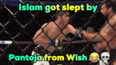 a boxing match with the words islam got slept by pantoja from wish above it