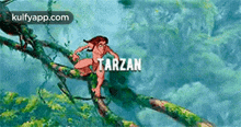 tarzan person human water outdoors