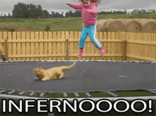 Inferno Cat GIF - Inferno Cat Jumping GIFs