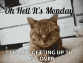 Monday Left Me Broken Cat GIF - Monday Left Me Broken Cat GIFs