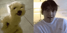 Soobin Txtreaction GIF - Soobin Txtreaction Dog GIFs