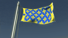 a blue and yellow flag with fleur de lis patterns