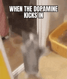 Psych Meme Dopamine GIF