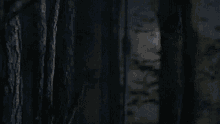 a man in a black jacket is standing in a dark room looking at something .