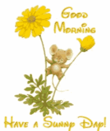 Good Morning Have A Sunny Day GIF