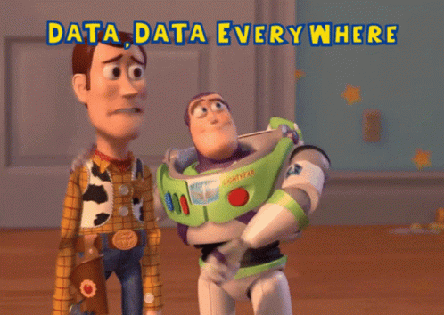 Not All Data Practitioners Are Data Literate.