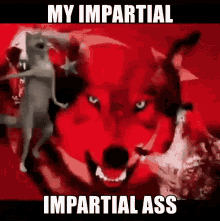 My Impartial Ass My GIF - My Impartial Ass My Impartial GIFs