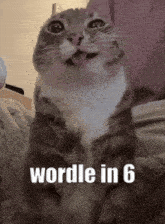 a cat with its mouth open and the words wordle in 6