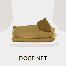 Doge Nft GIF - Doge Nft Spinning Slipper GIFs