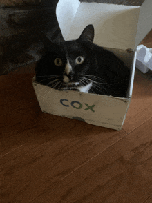 Cox Box Cat Box GIF - Cox Box Cat Box GIFs