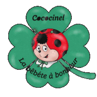 a green clover with a ladybug and the words cococinel la bebete a bonheur