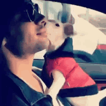 a man is kissing a small dog that is wearing a shirt