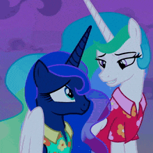 two ponies are standing next to each other and one is wearing a shirt