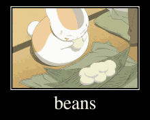 Beans Nyanko Sensei GIF - Beans Nyanko Sensei Nyanko GIFs