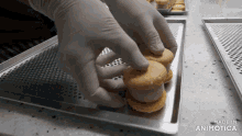 a person is putting a cookie on top of another cookie on a tray that says made in animatica