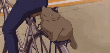 This Cat Is Not Having It. GIF - Cat Unamused Anime GIFs