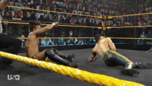 two men are wrestling in a ring with the word usa on the ropes