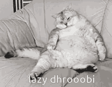 Lazy Dhruvi GIF