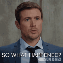 So What Happened Charlie Hudson GIF - So What Happened Charlie Hudson Hudson And Rex GIFs