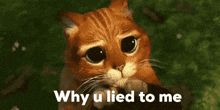 a sad cat with the words " why u lied to me " next to it