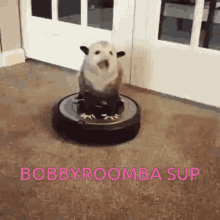 Bobbypossum GIF - Bobbypossum GIFs