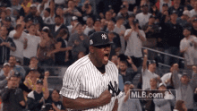 Yankees Pumped GIF - Yankees Pumped Shouting GIFs