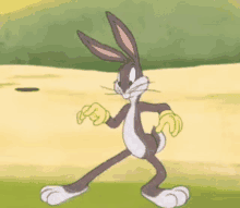 Bugs Bunny Stanky Leg Stanky Leg Bugs Bunny GIF
