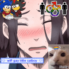 a picture of a man and a cat with the words wtf gay little catboy at the bottom