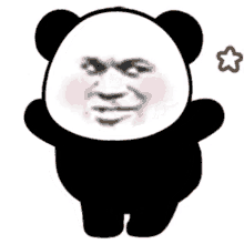 images panda