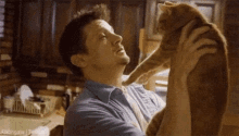a man is holding a cat in his arms and the cat is petting the man 's neck .