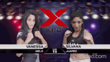 female fight mma boxing two girls