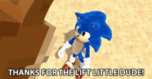 Thanks For The Lift Little Dude Sonic GIF