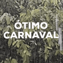 Carna Chuva GIF - Carna Chuva Otimo Carnaval GIFs