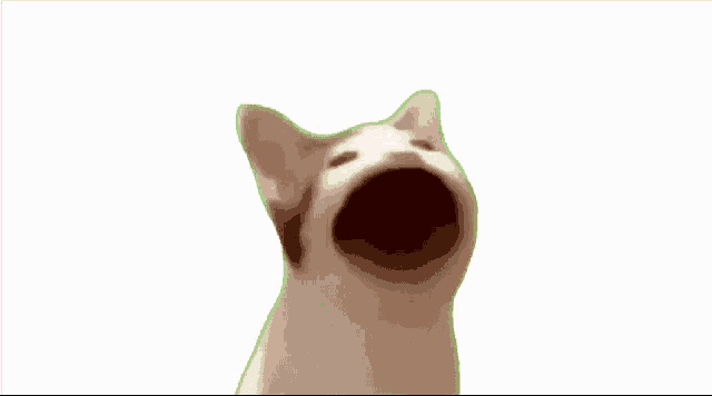 Pop Cat GIF Pop Cat Meme Discover Share GIFs | chegos.pl