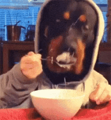 Dog Eating GIF - Dog Eating Meme GIFs