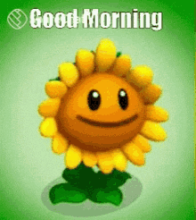 Good Morning GIF - Good Morning Lover GIFs