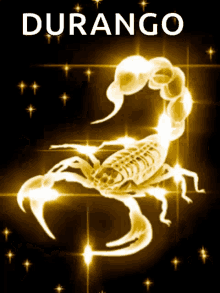 durango scorpion glowing sparkle