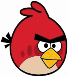 Angry Birds Birds GIF